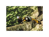 Аккумуляторный высоторез DEWALT XR, 18 В, 150 мм, с АКБ 5 Ач и ЗУ, DCMPH566P1